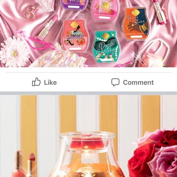 Scentsy - Picture 3 of 4